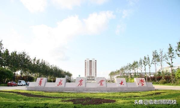 青岛理工大学是一本还是二本(青岛理工与青岛农业大学哪个更好)插图15