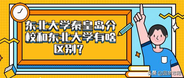 东北大学秦皇岛分校(东北大学秦皇岛分校是什么学校)插图