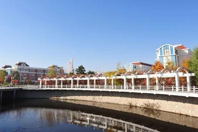 全球大学世界排名前100大学(qs2023年世界大学排行榜)插图