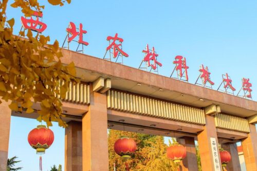 985是哪39所大学(985是哪39所大学)插图38