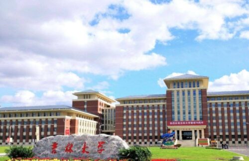 十大日语专业大学排名(日语专业排行榜)插图6