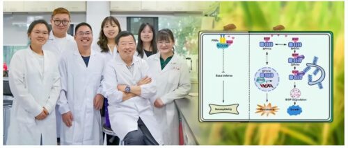 武汉大学录取分数线(武汉大学录取分数线2023)插图21