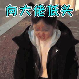 自考历年真题在哪里找(自考历年真题和答案在哪里找)插图2