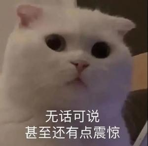 自考历年真题在哪里找(自考历年真题和答案在哪里找)插图1