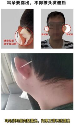教师资格证照片要求(河南省教资照片像素有要求吗)插图10