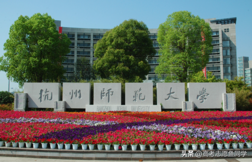 重庆师范大学是几本(重庆的大学排名)插图2