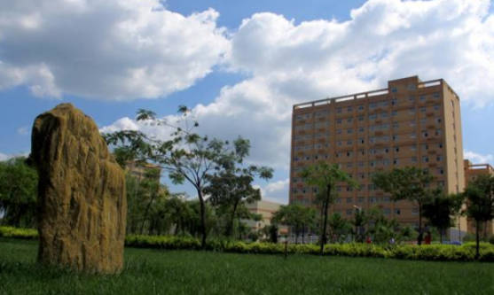 新乡十大名校排名(新乡好的小学排名)插图7
