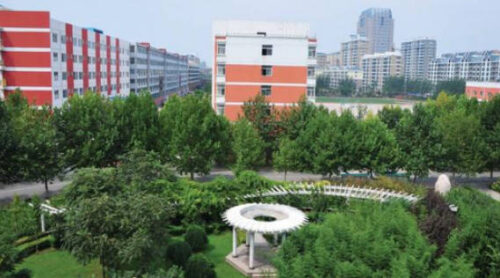 新乡十大名校排名(新乡好的小学排名)插图8