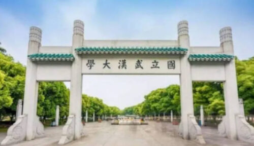 十大名校最新全国排名(武汉市十大名小学)插图5