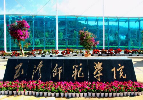 400分可以上的师范类学校(400分可以上的师范类学校湖南)插图5