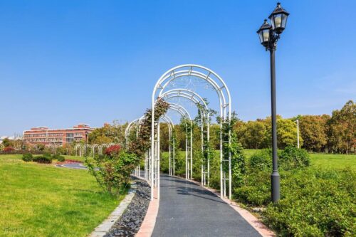 上海交大分数线(上海交通大学考研分数线2023)插图2