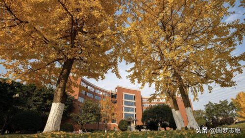 成都大学是几本(成都大学是几本大学)插图