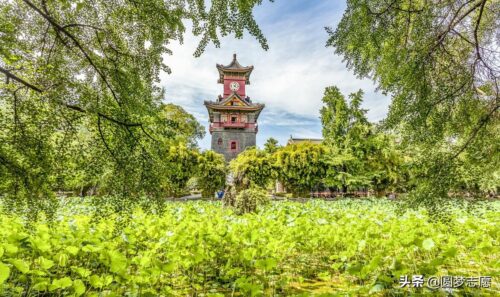 成都大学是几本(成都大学是几本大学)插图3
