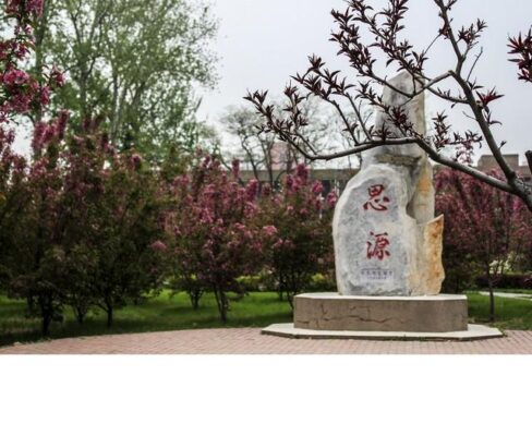211厉害还是985(211厉害还是985厉害)插图2
