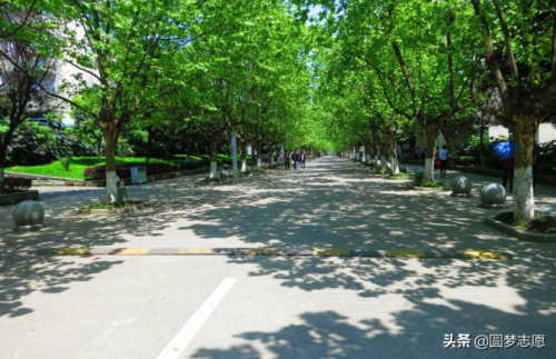 500分左右的211大学(500分左右的211大学东北大学秦皇岛分校)插图3