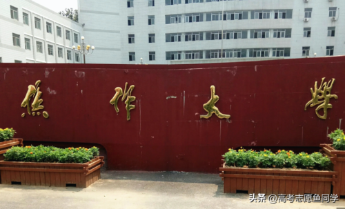 高等专科学校(高等专科学校是大专吗)插图4