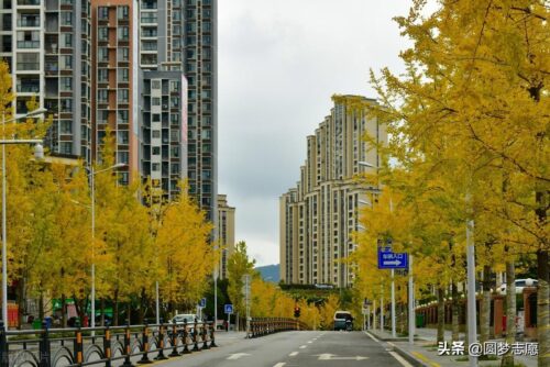 全国二本大学(全国二本大学排名及录取分数线理科)插图3