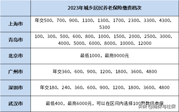个人社保缴费(个人社保缴费证明怎么查询)插图1