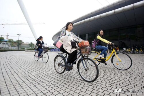 高校专项的大学降分表(高校专项的大学降分表安徽)插图27