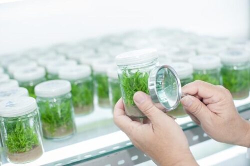 考研难度最小的五所211(考研难考的211)插图4