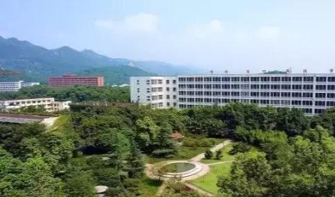 重庆邮电大学什么档次(重庆邮电大学2023年录取分数线艺术生)插图2