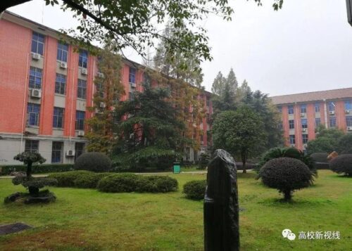 中国大学100强(中国百强大学录取分数线)插图3