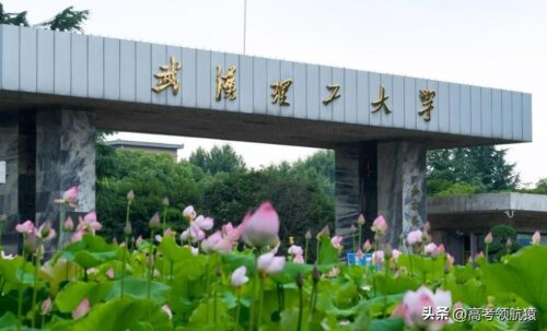 张雪峰说武汉理工大学的视频(武汉的大学排名研究生)插图