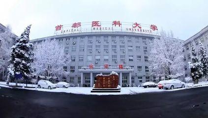 成人高考考行政管理什么科目(成人高考行政管理专业有哪些课程内容啊)插图
