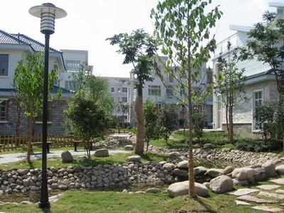 提高低学历者学历有什么要求和条件(低学历提升有几种方式)插图