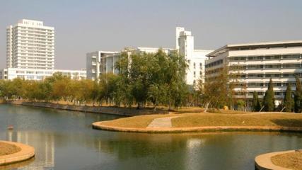 成人高考什么样的专业好学(成人高考什么专业比较好考)插图