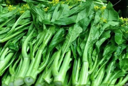 盘点十大生长速度最快的蔬菜(生长最快的植物是什么植物)插图6