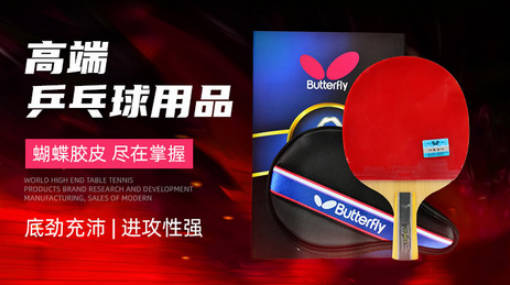 乒乓球拍底板十大品牌(乒乓球拍底板品牌排行前十)插图2