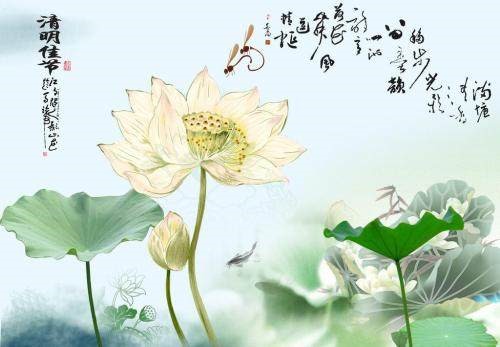 清明节十大禁忌你知道多少(清明节的九大禁忌)插图2
