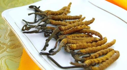 青海湖十大特产排名(青海湖有啥特产好吃的啊)插图7