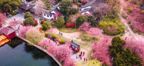 南京十大著名景点，夫子庙上榜(南京比较著名的景点)插图7