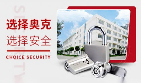 汽车锁十大品牌(自行车锁哪个牌子质量最好)插图8