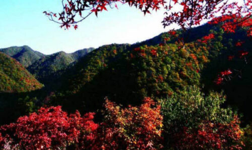 山西阳泉十大好玩的地方(阳泉好玩景点)插图2