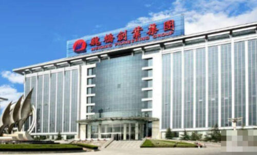 山东省大型企业排名前十的有哪些公司(山东省大型企业排名前十的有哪些公司名单)插图1
