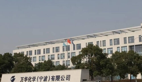 山东省大型企业排名前十的有哪些公司(山东省大型企业排名前十的有哪些公司名单)插图8