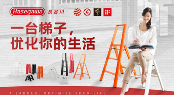 伸缩梯子十大品牌排名(伸缩梯子的价格查询)插图4