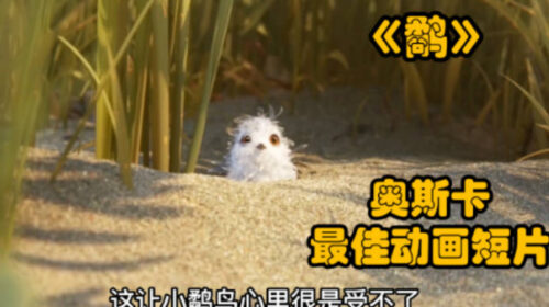 十大奥斯卡最佳动画短片(十大奥斯卡最佳动画短片 舍得)插图2