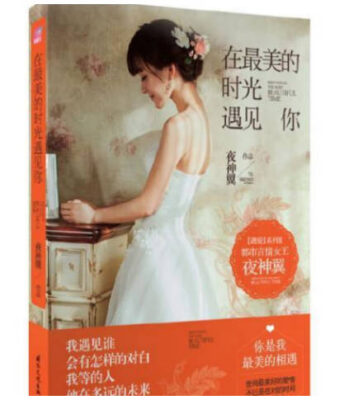 十大宠文小说排行榜(十大宠文小说排行榜前十名)插图1