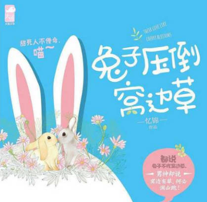 十大宠文小说排行榜(十大宠文小说排行榜前十名)插图4