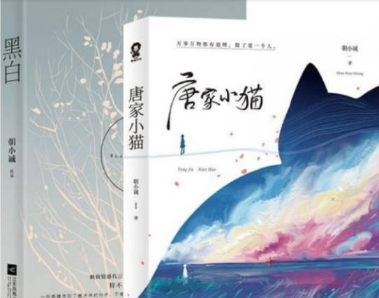 十大宠文小说排行榜(十大宠文小说排行榜前十名)插图6
