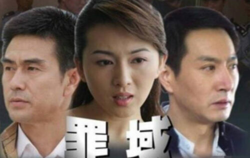 十部经典反黑电视剧(10部经典反黑电视剧)插图1