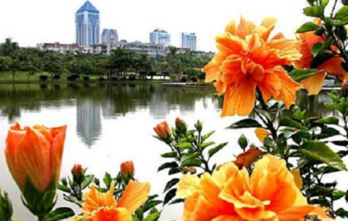 南宁十大最受好评景点，龙虎山上榜(南宁十大景点排名)插图3