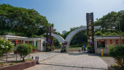 南宁十大最受好评景点，龙虎山上榜(南宁十大景点排名)插图7