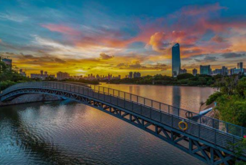 深圳十大城市公园排名(深圳10大公园)插图6