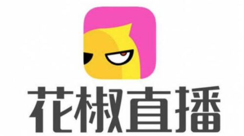 十大热门直播网站(十大热门直播网站排行榜前十名)插图9