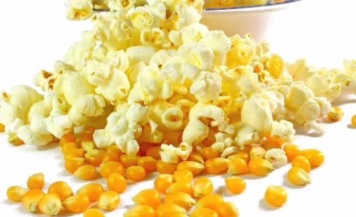 十大热门爆米花玉米(爆米花专用玉米什么牌子好)插图2